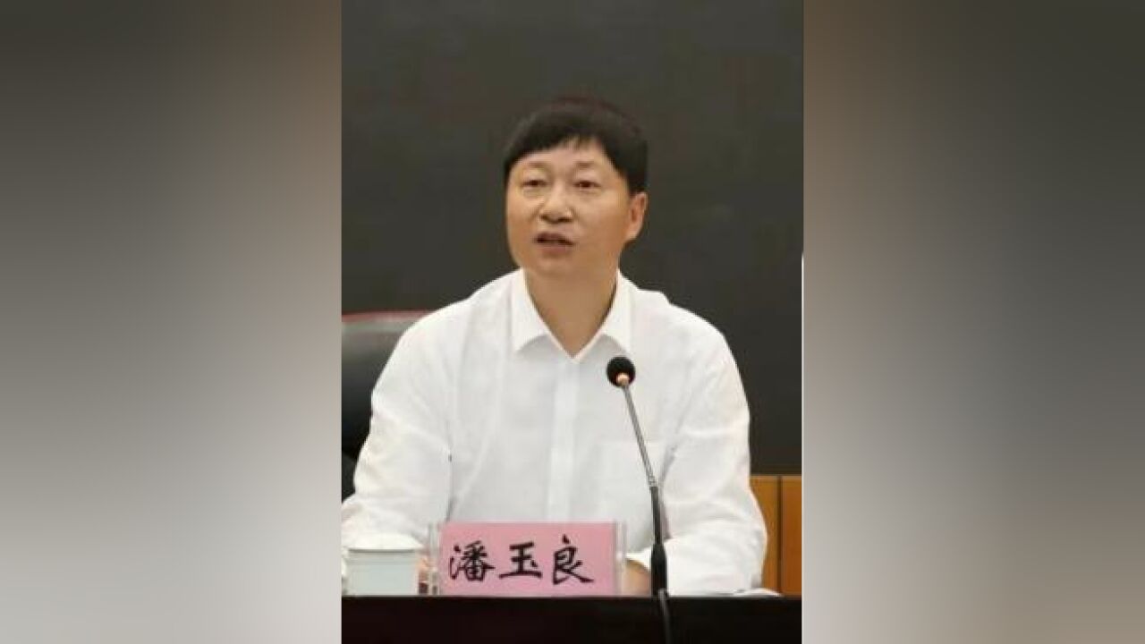 调岗2个月后,潘玉良主动投案!长期在云南省纪委工作,曾任云南省纪委常委