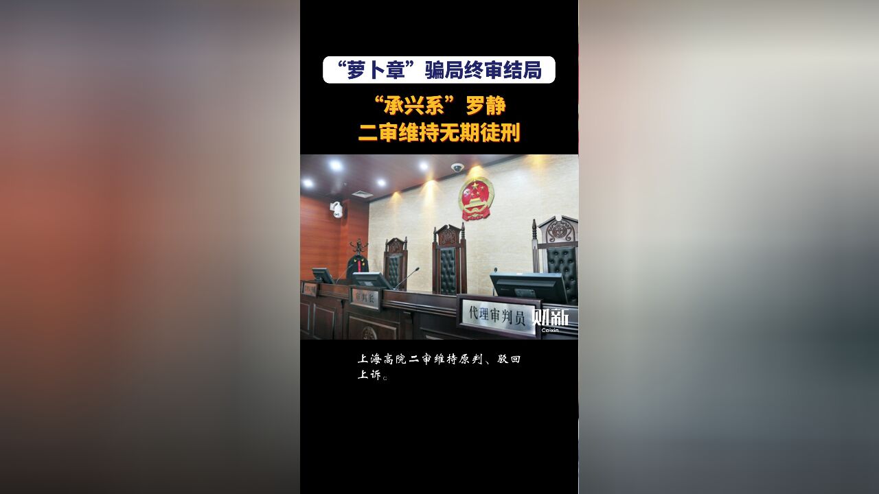 “萝卜章”骗局终审结局 “承兴系”罗静二审维持无期徒刑