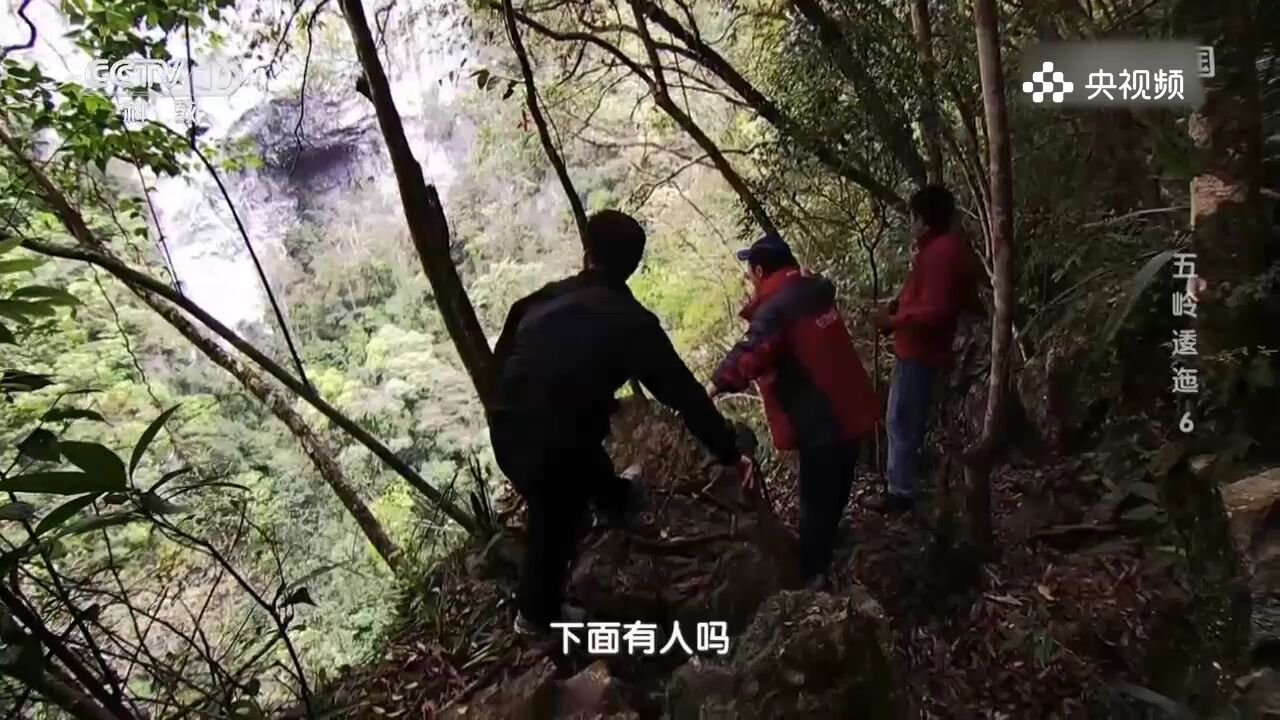 考察组根据向导指引,终于见到了”天坑“,决定继续探索