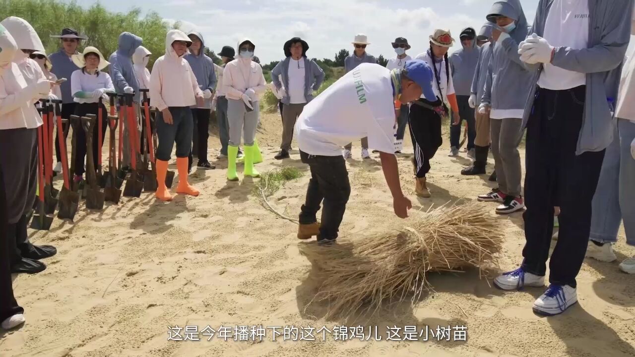 富士胶片发布《种树,25年》视频 讲述沙漠绿化故事