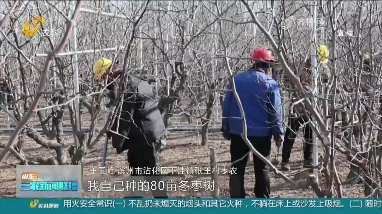 滨州沾化:枣农紧锣密鼓加紧建设,数十座钢架大棚将投入使用