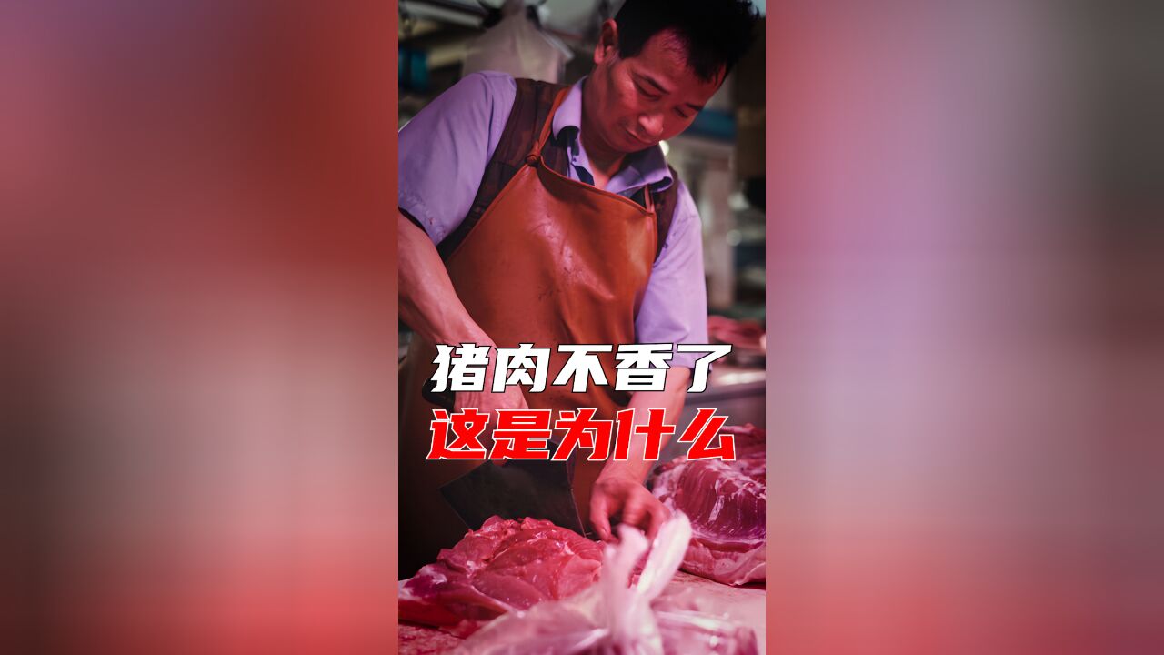 中国土猪消失的背后:谁在污名化猪油?