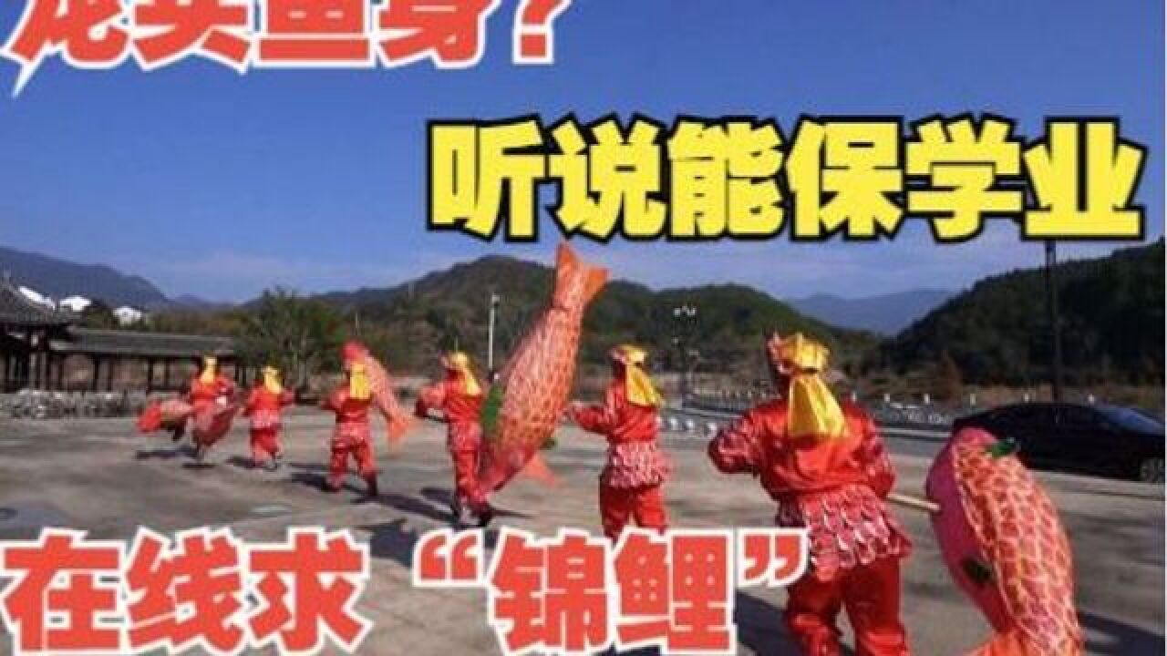 福建“鱼龙戏”:龙头鱼身 你见过吗