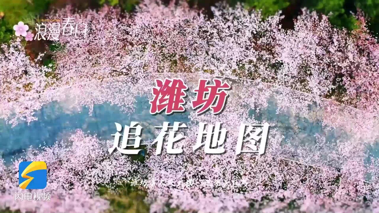 追花地图来了丨来潍坊赴一场春日的“繁花之约”吧