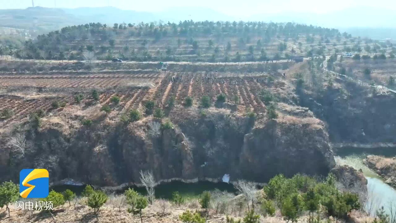 潍坊安丘:开展义务植树活动 为春日添绿意