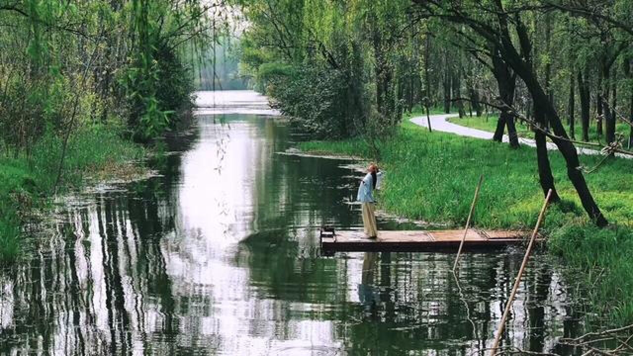 在江苏溱潼竟有一处这么美的湿地公园