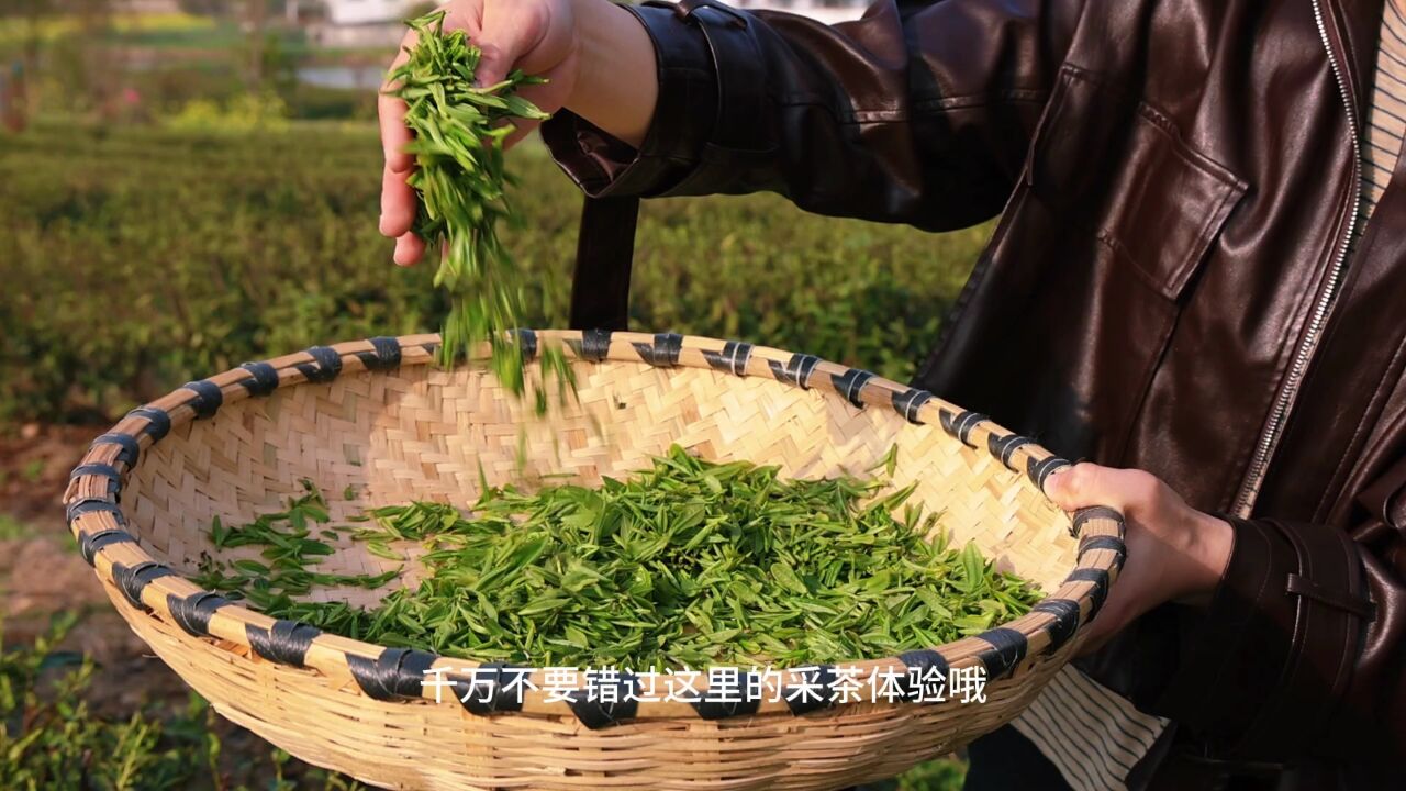 采个茶吃顿农家饭,武汉周边游的最佳目的地:在去黄陂找个院子