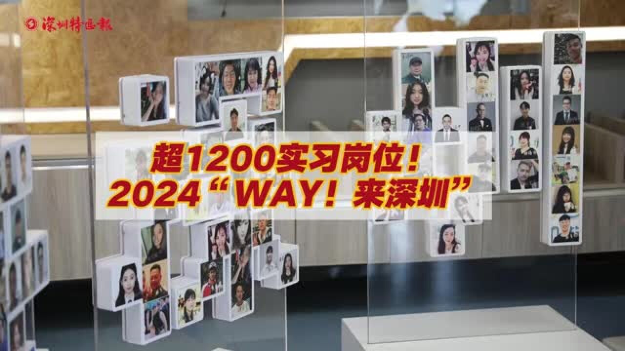 超过1200个实习岗位!2024台青来深实习活动拉开序幕