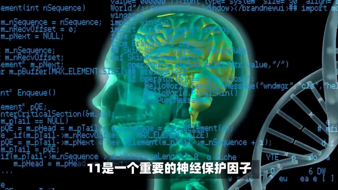 《科学》杂志研究发现治疗阿尔茨海默病的新靶点