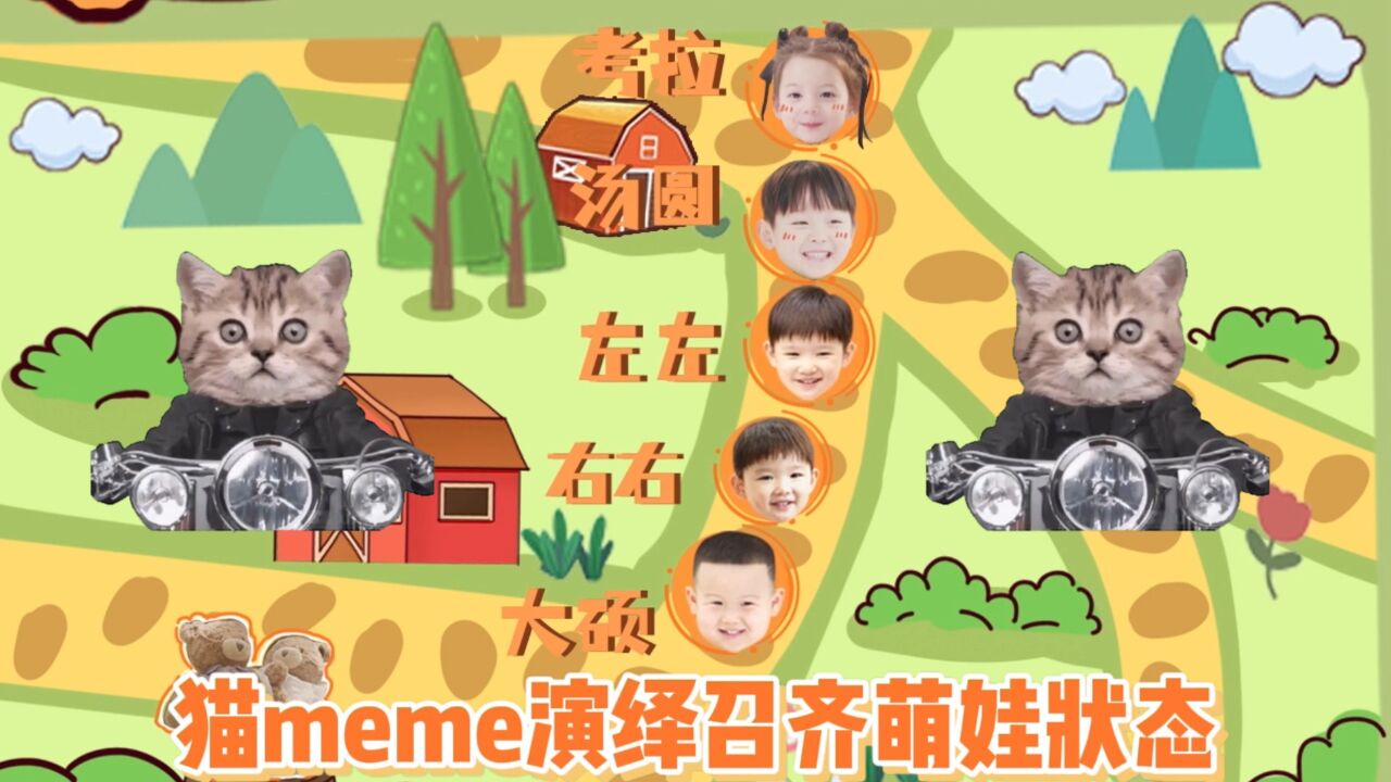 猫meme也来召齐萌娃啦,太洗脑