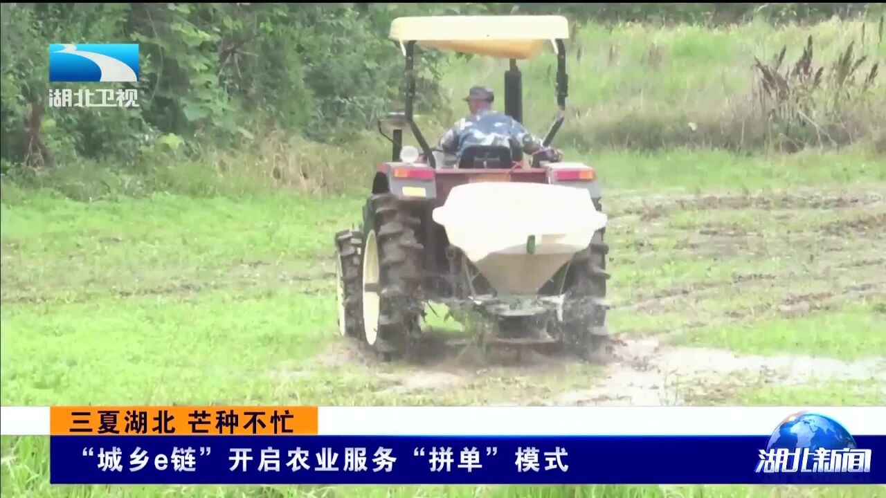 三夏湖北 芒种不忙