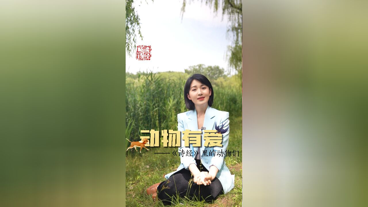 秀我中国|动物有爱——《诗经》里的动物们