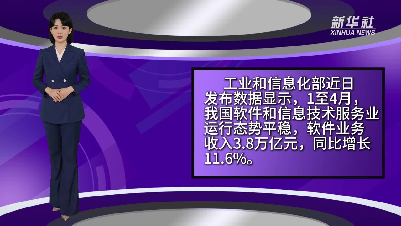 1至4月我国软件业务收入达3.8万亿元