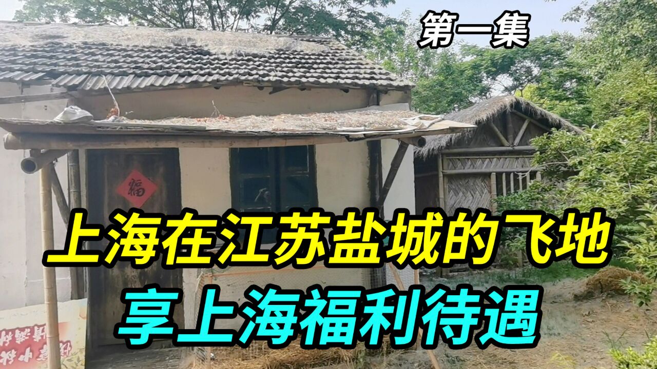 上海在江苏盐城的飞地,当地人持上海宝山区户口,享上海福利待遇