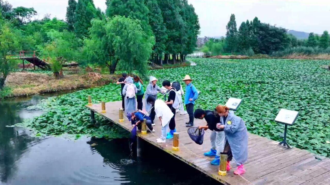 一堂湿地公园里的“生态课”