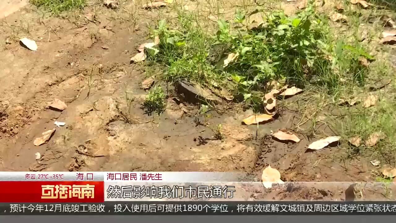 绿化绿植缺失致泥沙满地 园林部门将加强修复防护