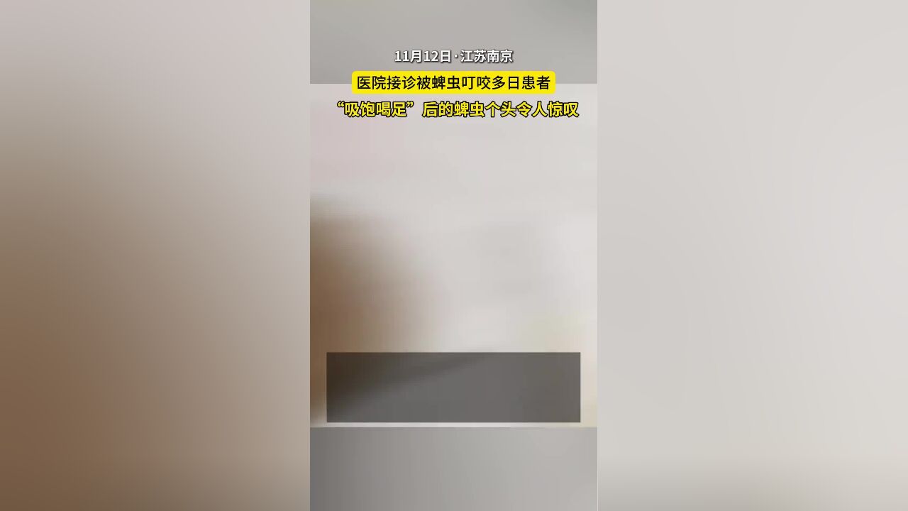 医院接诊被蜱虫叮咬多日患者,“吸饱喝足”后的蜱虫个头令人惊叹