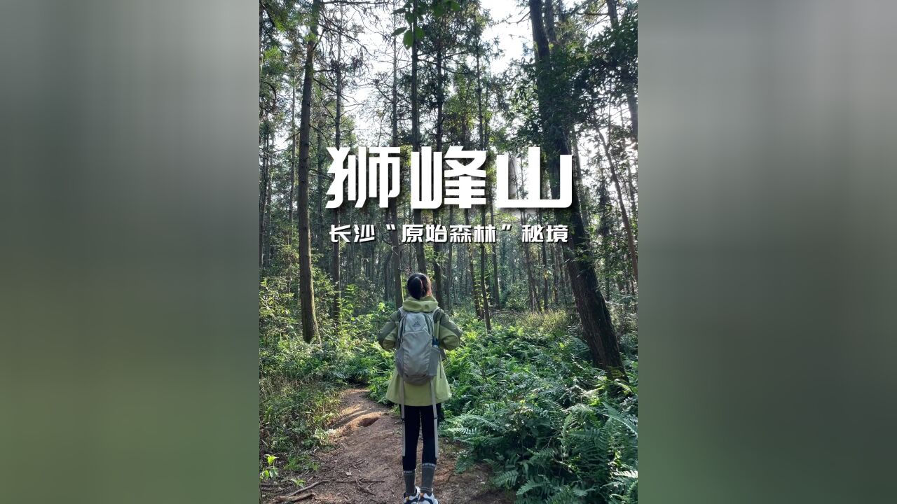 长沙“原始森林”秘境,小众徒步宝藏地丨狮峰山