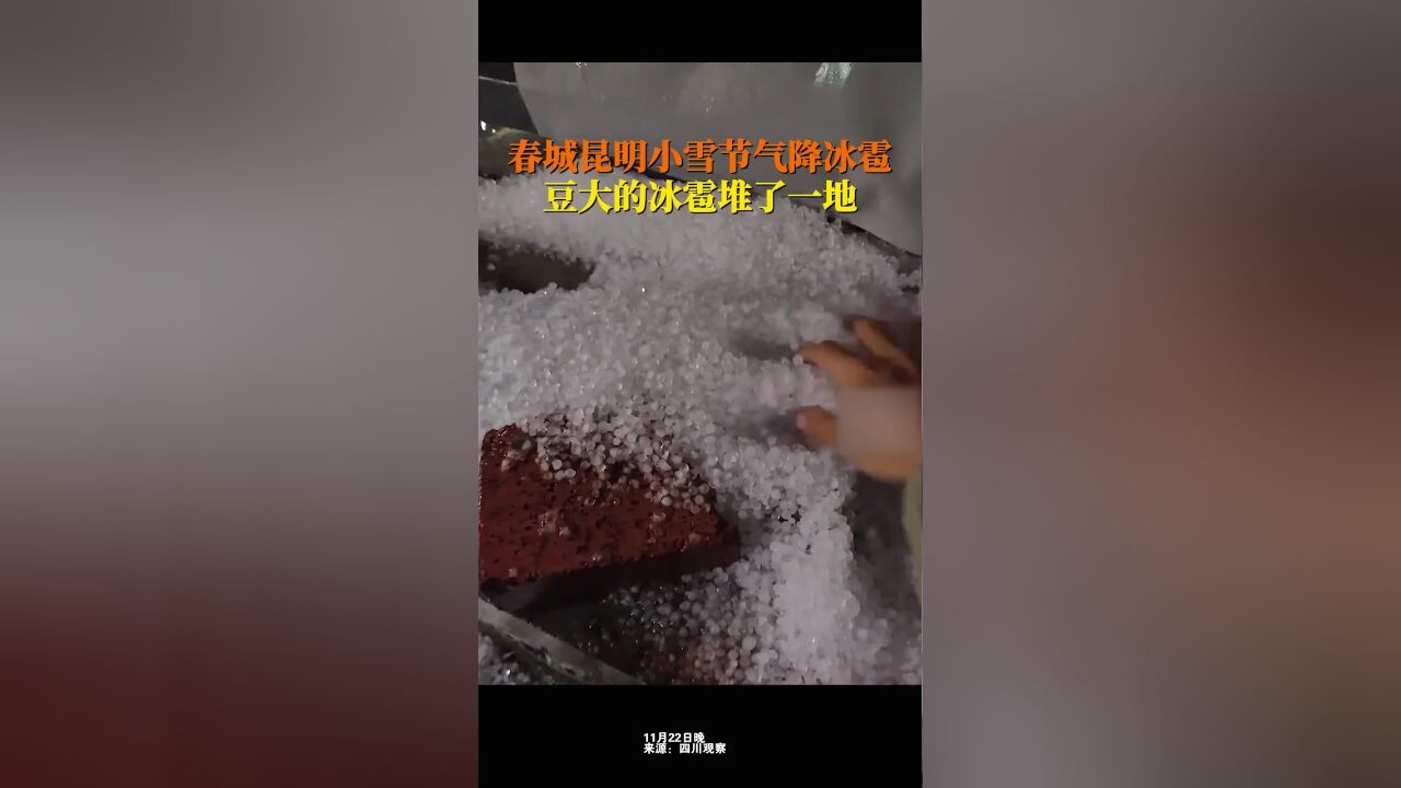 春城昆明小雪节气降冰雹,豆大的冰雹堆一地,仿佛一夜入冬