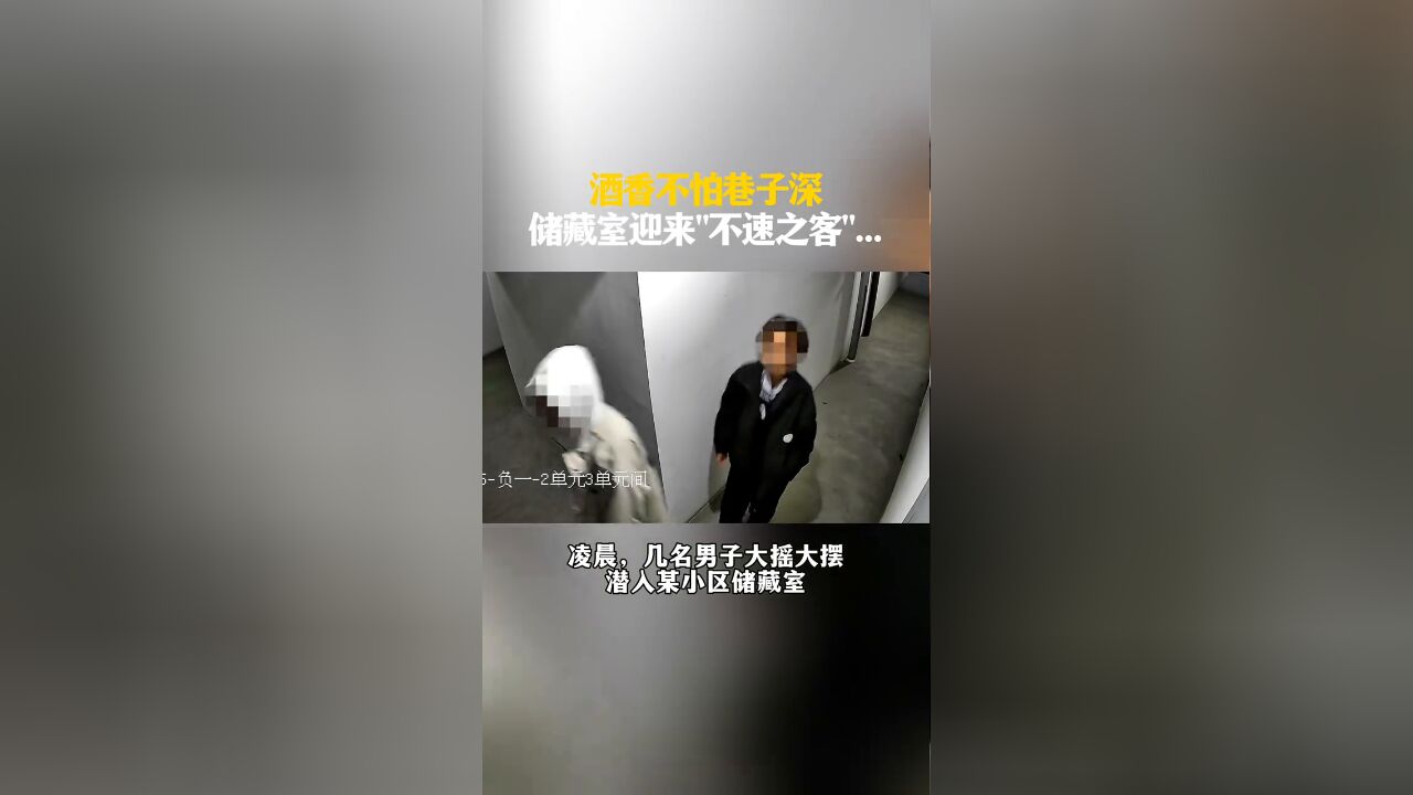 酒香不怕巷子深,储藏室迎来“不速之客”