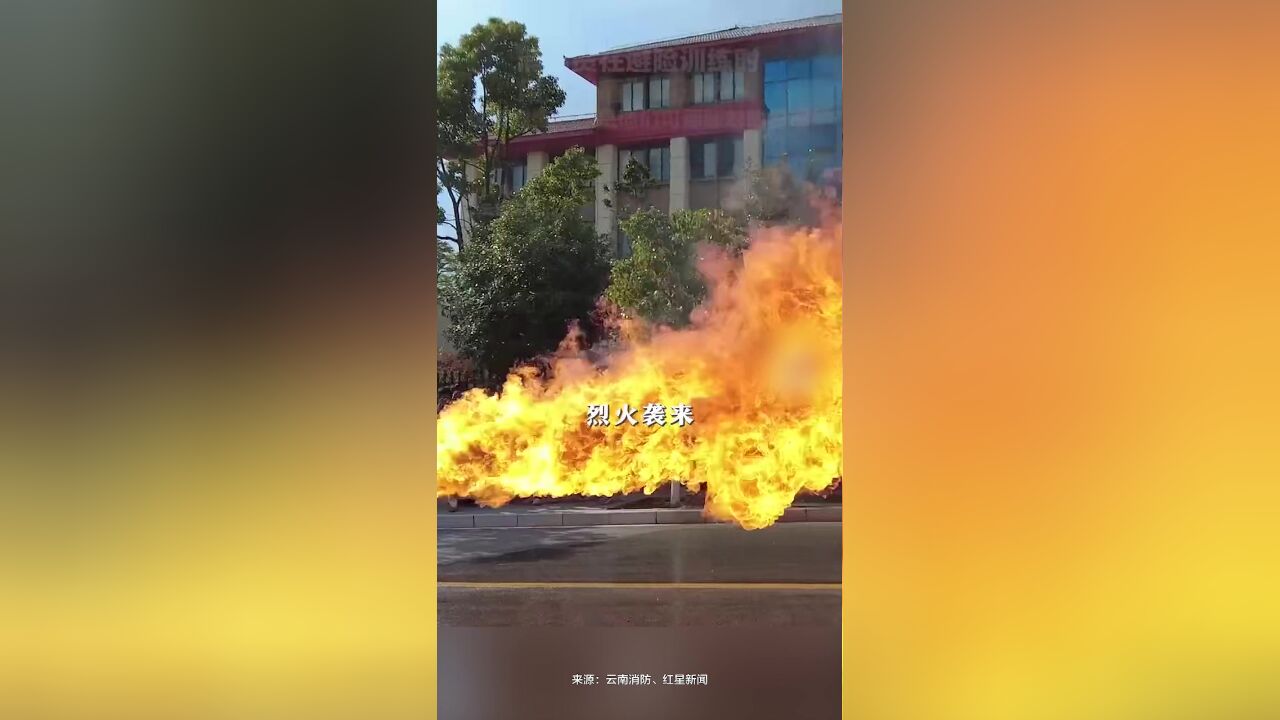 消防员在避险训练时,用“水盾”逼退烈火,这是训练,也是他们可能面对的日常