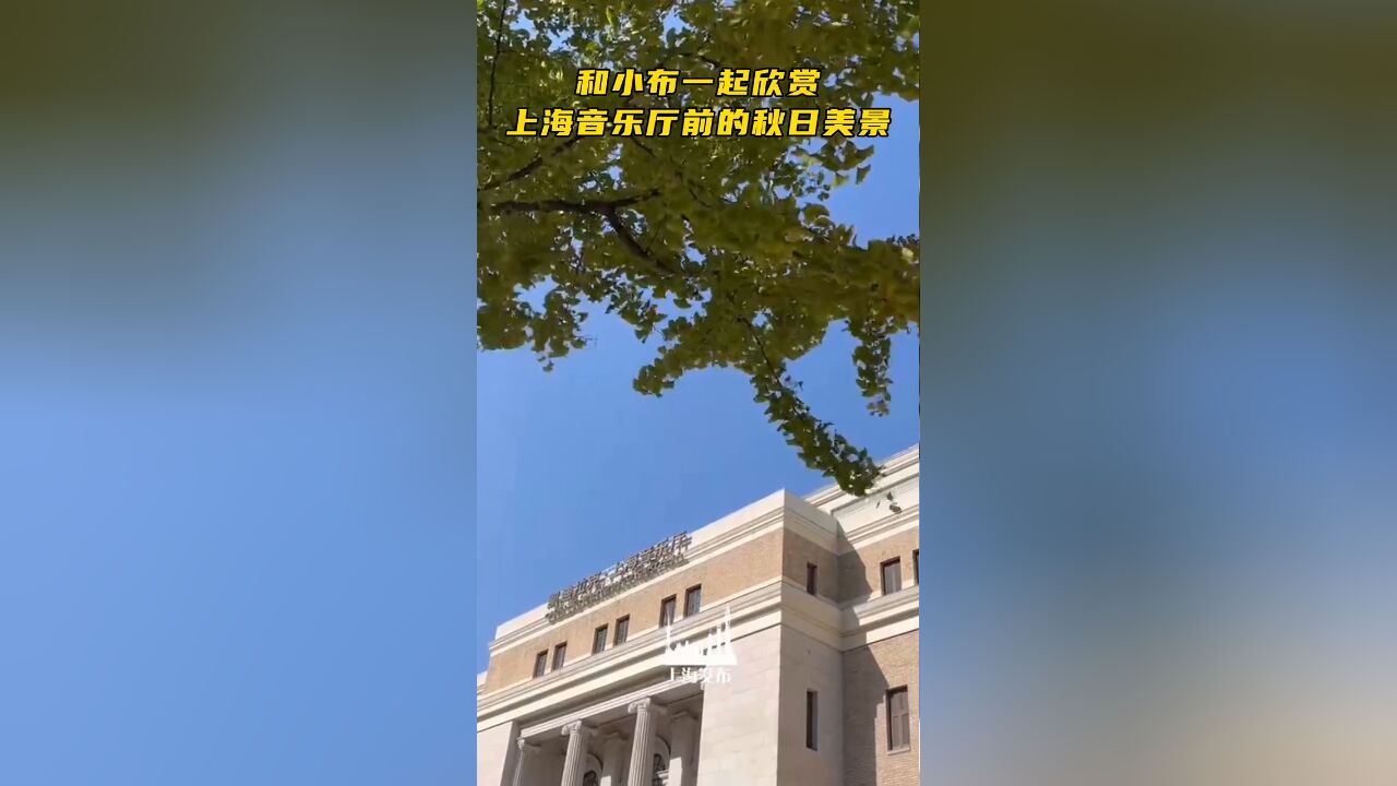 上海音乐厅前秋日美景