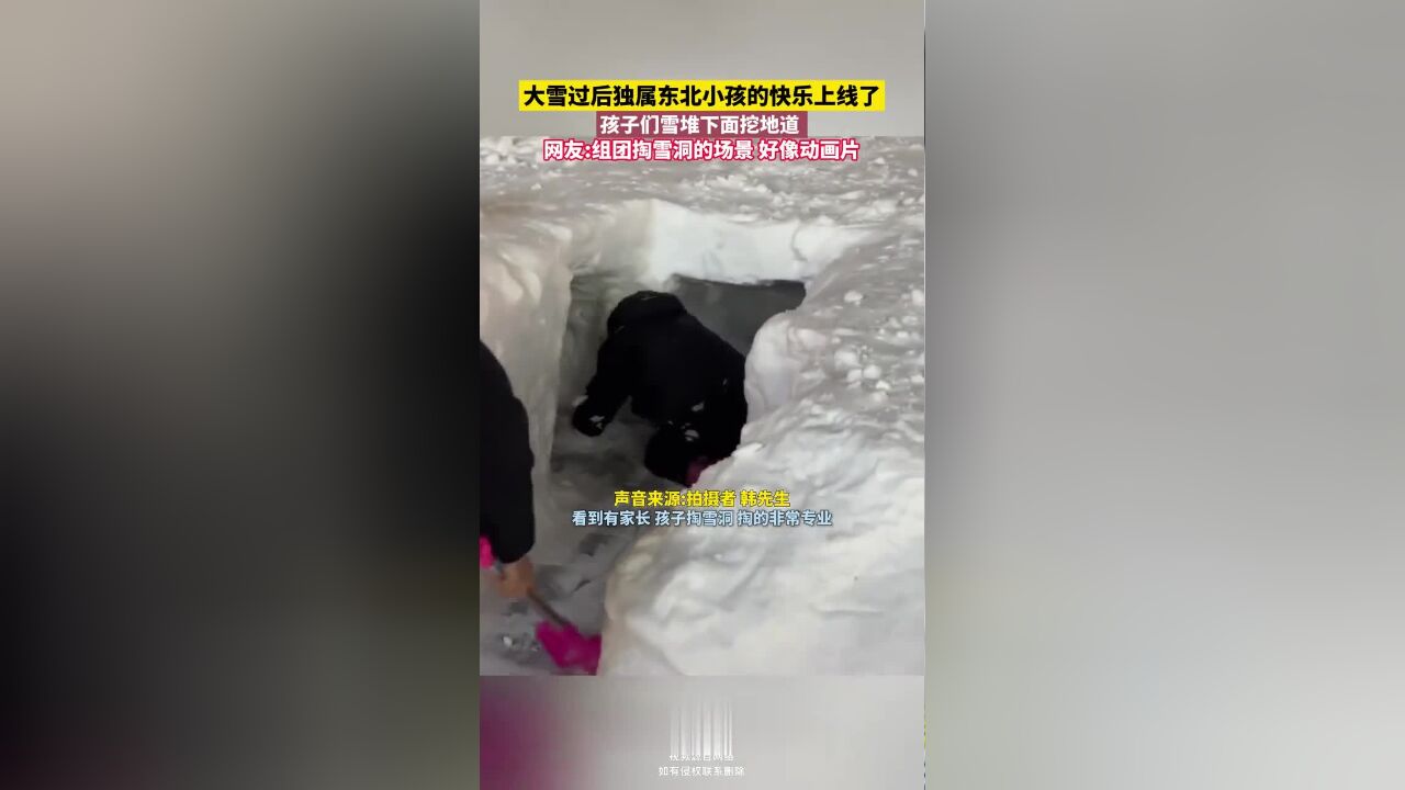 大雪过后独属东北小孩的快乐上线了,孩子们雪堆下面挖地道 .网友:组团掏雪洞的场景好像动画片.