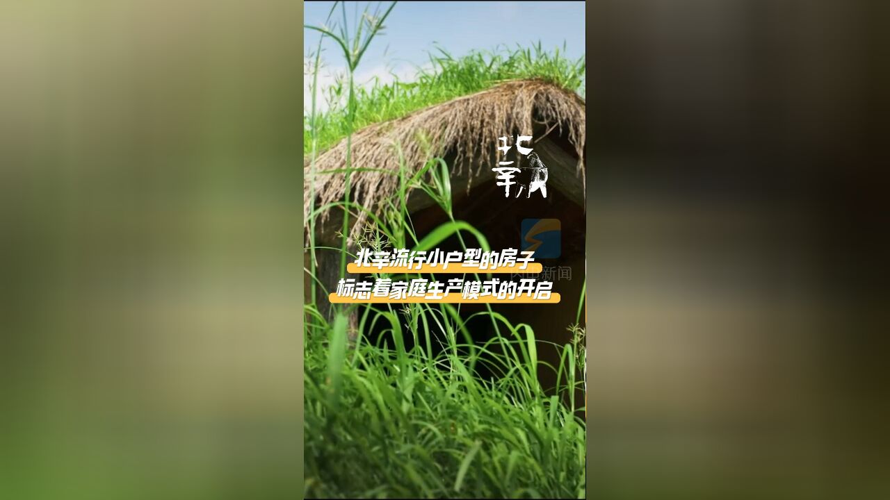 大型考古纪录片《北辛》|北辛流行小户型的房子,标志着家庭生产模式的开启