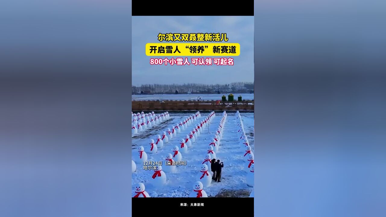 尔滨又双叒整新活儿,开启雪人“领养”新赛道,800个小雪人,可认领、可起名