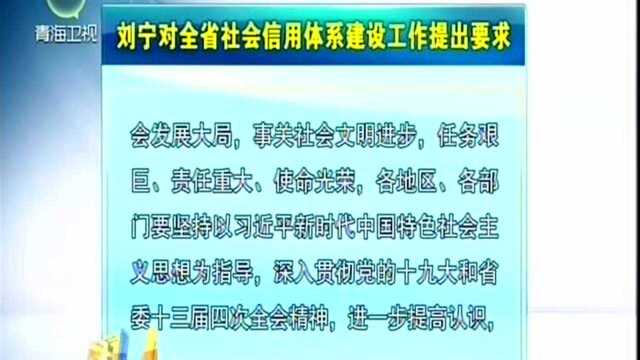 刘宁对全省社会信用体系建设工作提出要求