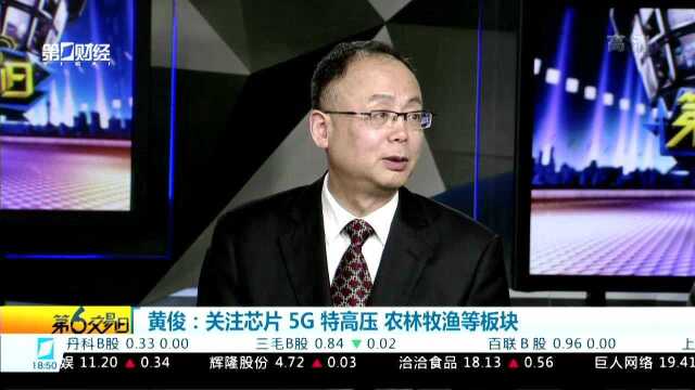 黄俊:关注芯片 5G 特高压 农林牧渔等板块