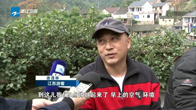 深化“千万工程” 建设美丽浙江 绍兴嵋山——几间闲置房 改头换面成宝贝