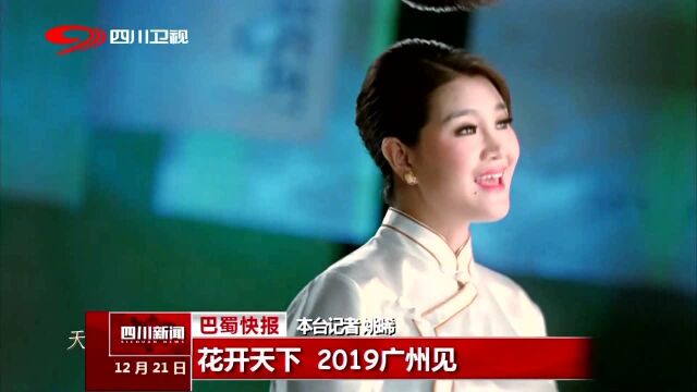 花开天下 2019广州见