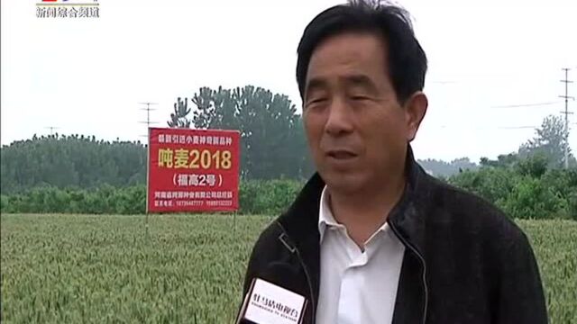 “福高2号”叫响天中大地——“福高2号”新蔡观摩会