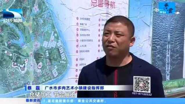 广水:打造电商发展产业链 助力多肉植物产业生长