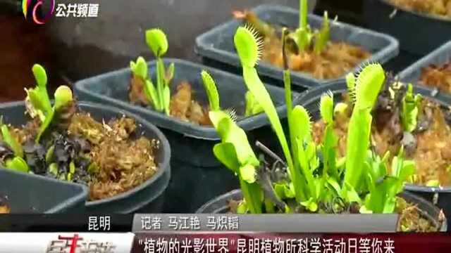 “植物的光影世界“昆明植物所科学活动日等你来