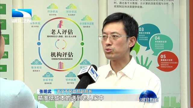 湖北民政推行“互联网+” 让老人在家幸福养老