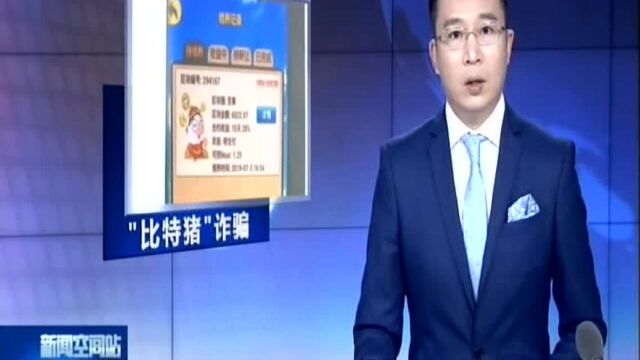 常州:警惕!网上领养“比特猪”被诈骗