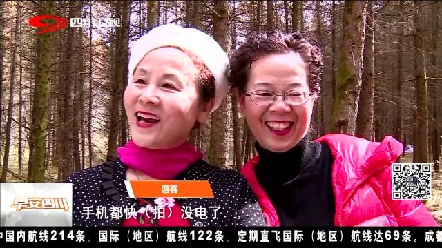 又到一年红叶季 走进光雾山 文旅融合新体验