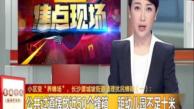 小区变“养蜂场”,长沙望城坡街道清理扰民蜂箱(一):公共过道摆放近50个蜂箱 距幼儿园不足十米