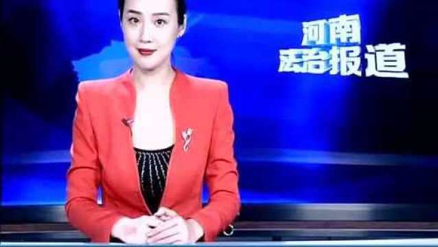 改进社会治理方式 深化平安河南建设