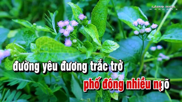 Ngại Ng㹮g  Tone Nữ