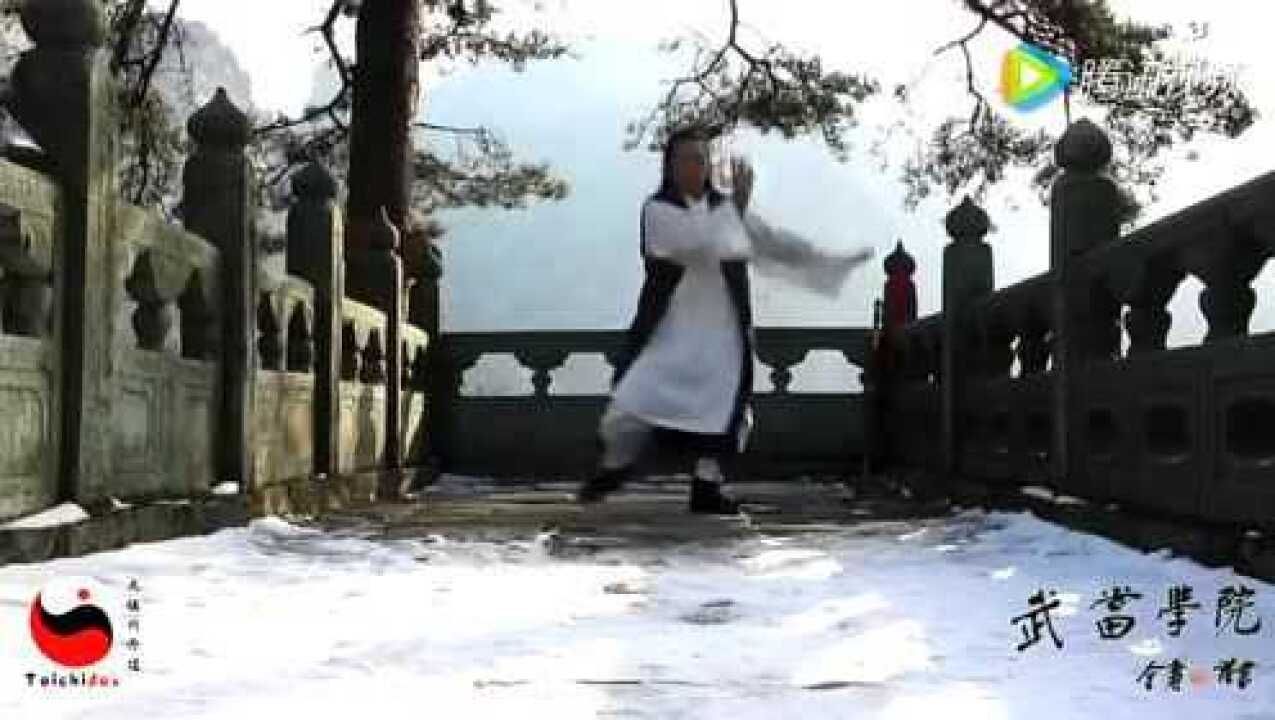 玄一道人在武当山雪地练武当太极拳 首次公开