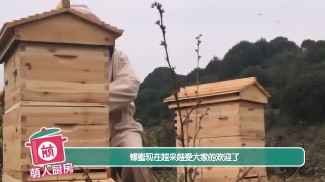 倍儿健康:每天吃一勺蜂蜜 对健康有这4种好处