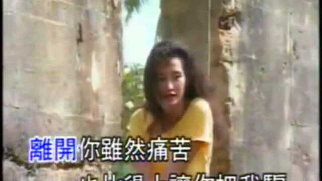 高胜美——《 美丽的谎言》