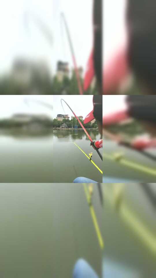 男子直播钓鱼，这是演的还是真的钓到大鱼？ 关注 00 分享 打开腾讯视频