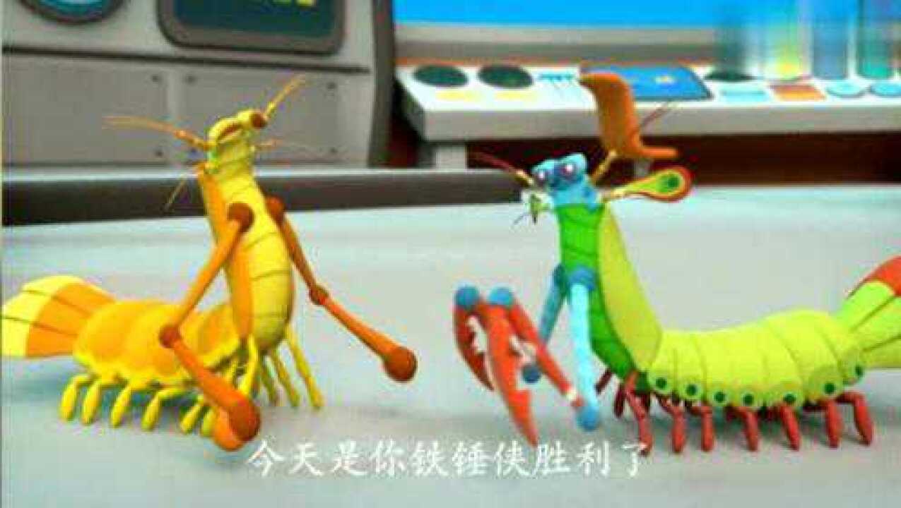 海底小纵队:两只螳螂虾想要保持和平开始了谦虚