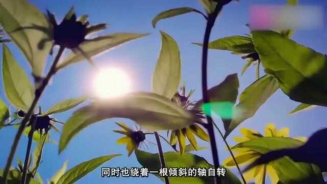 2分钟看完大自然的日出日落四季变换,这种感觉真奇妙