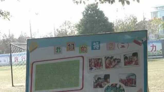 九三学社湖北书画院到泰丰小学开展书画艺术种子教育活动