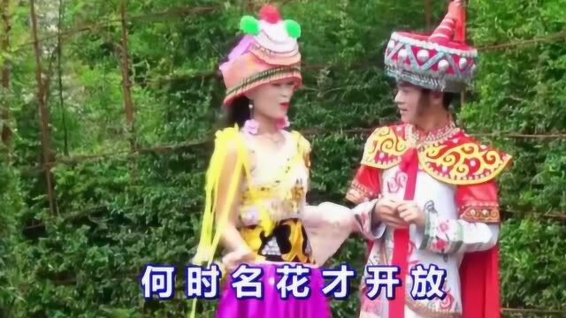 云南山歌《花逢春到添色彩》对山歌 民间小调 夏小龙 杨晶晶